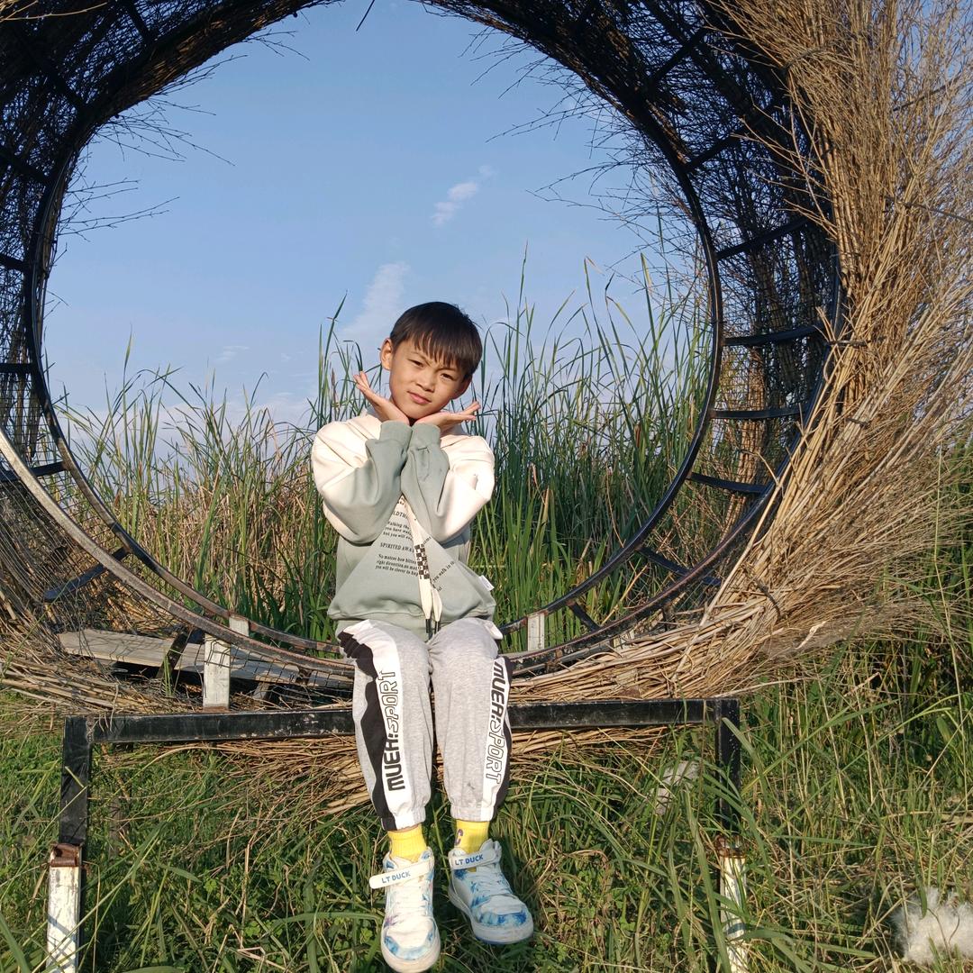宁静淡泊