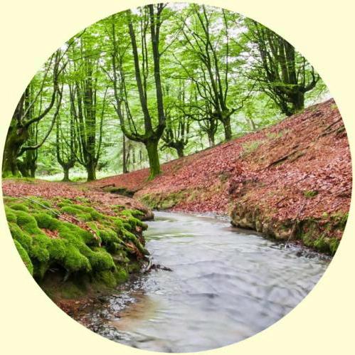 黄羊联通营业厅