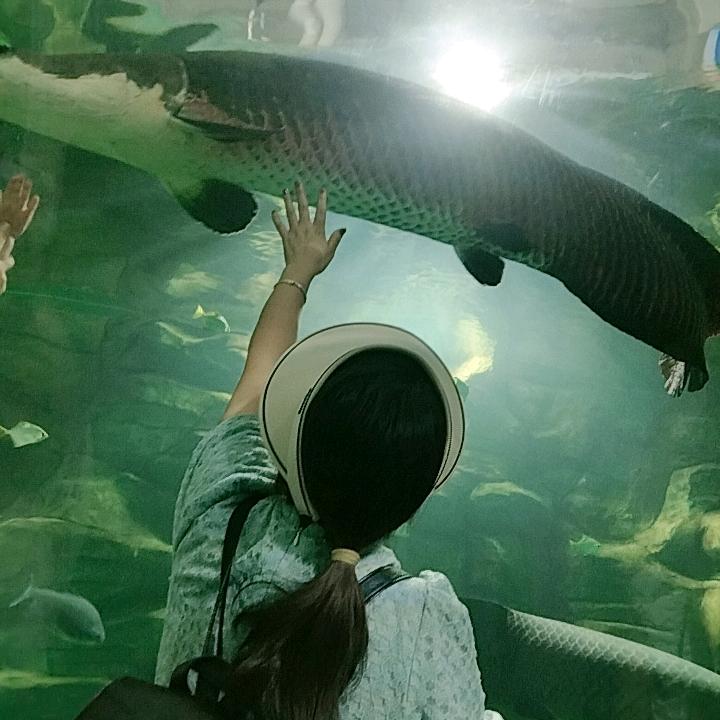 娜娜专业瓷砖美缝