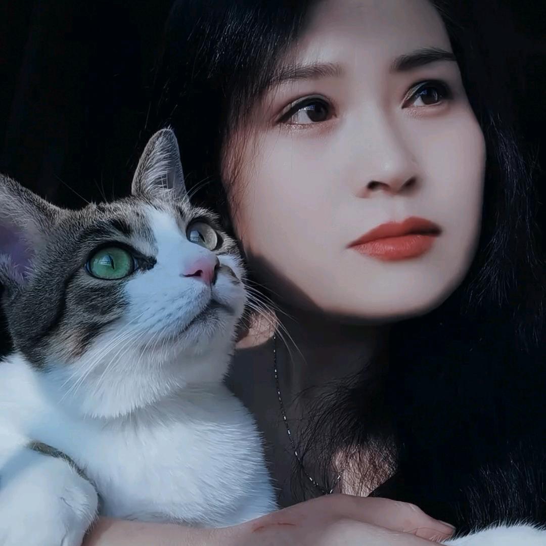 ┲﹊芯﹏☆
