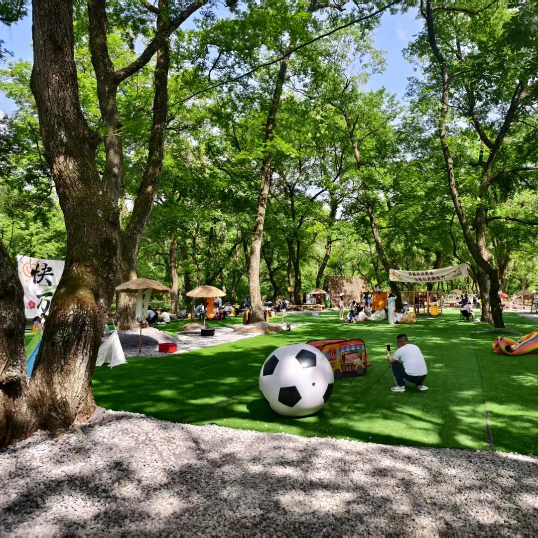 致青春森林乐园(里山街道店)官方号