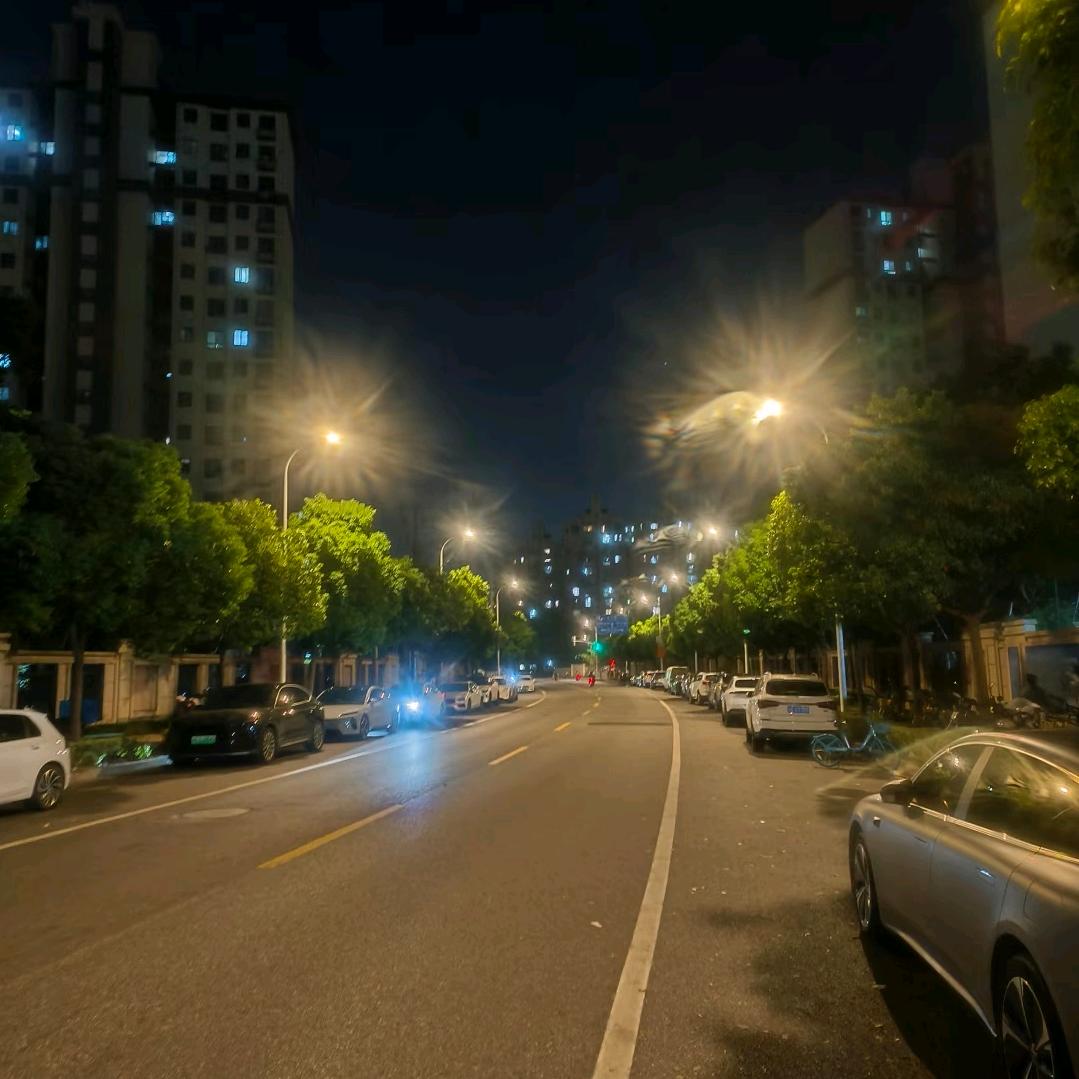 似水年华