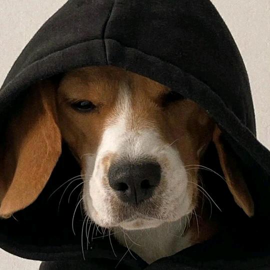 妇科圣手三圣涅