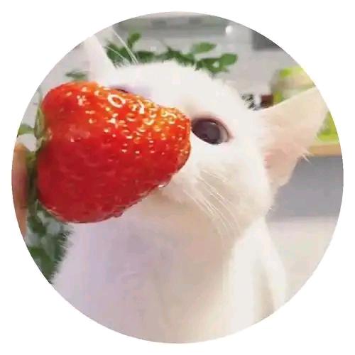 奋斗