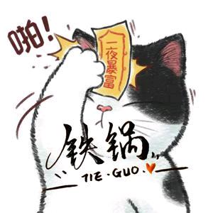Vv铁锅