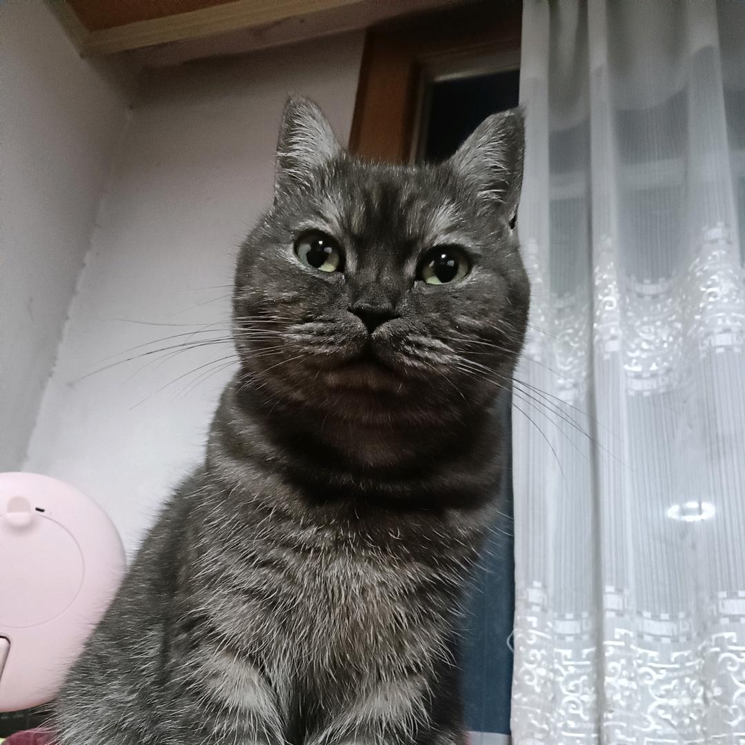 佑宝