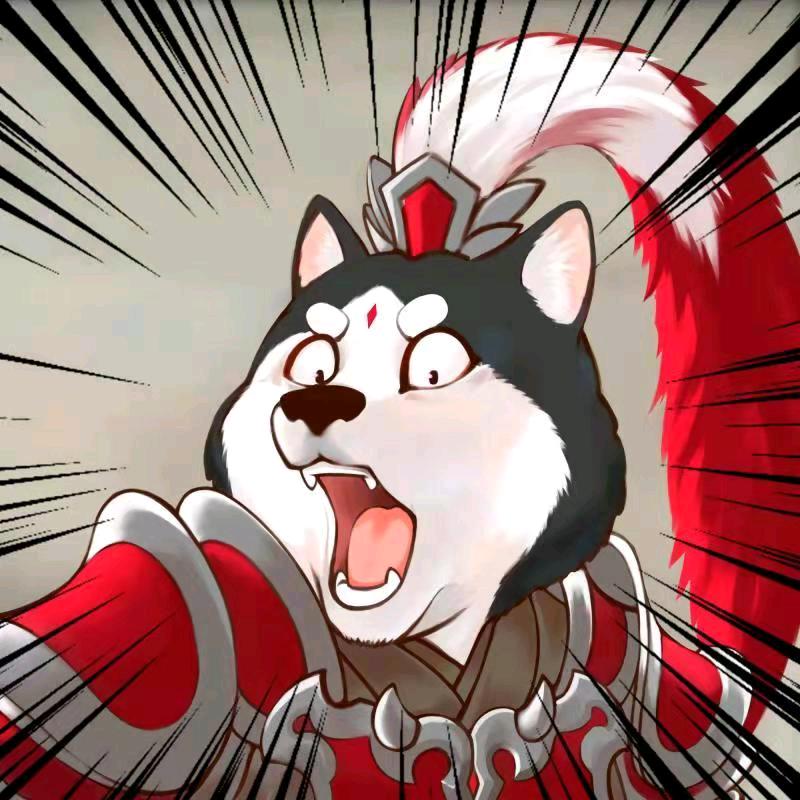 小小周某人
