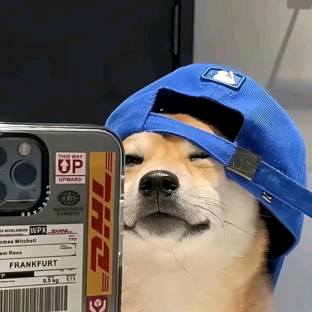张旭乐