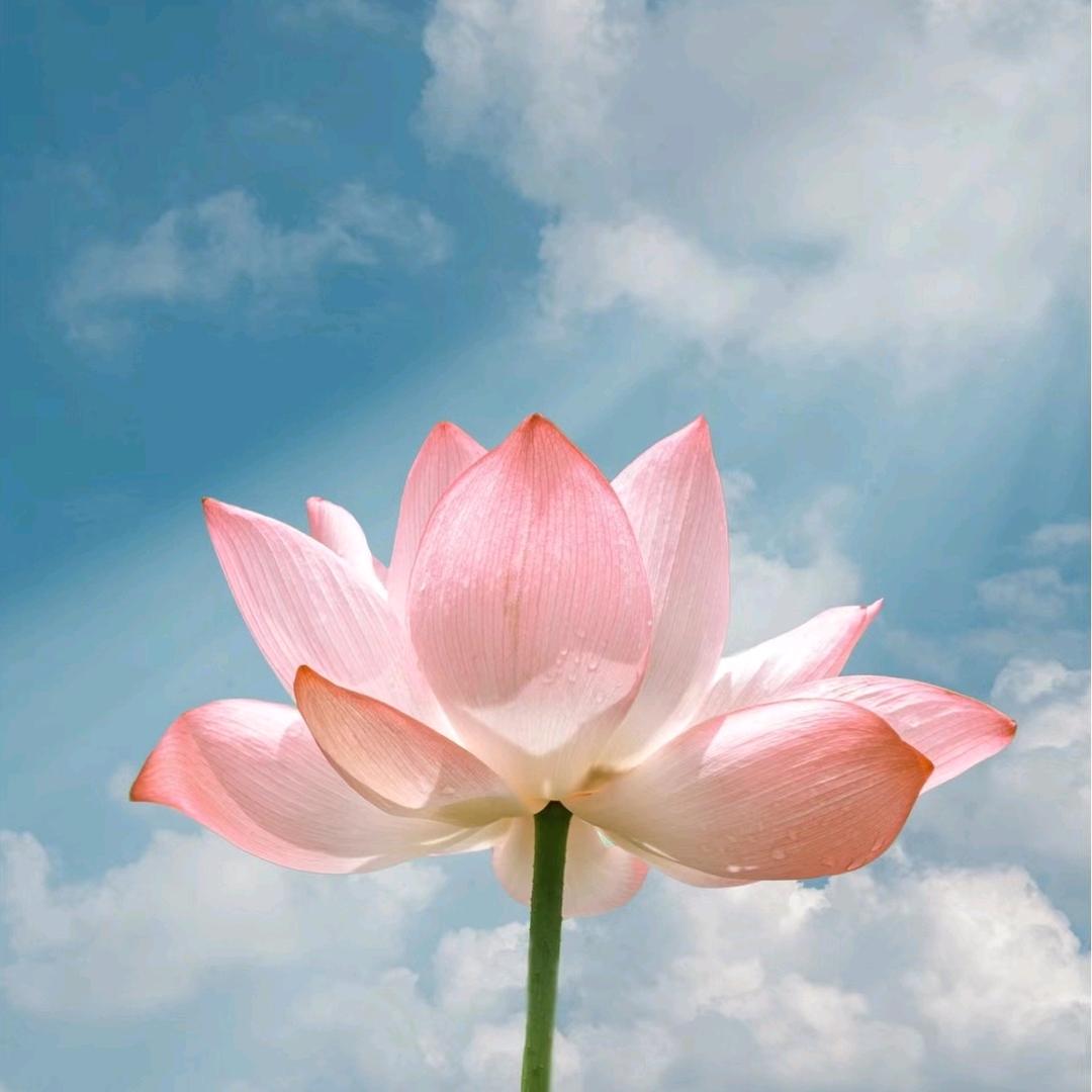 羽润