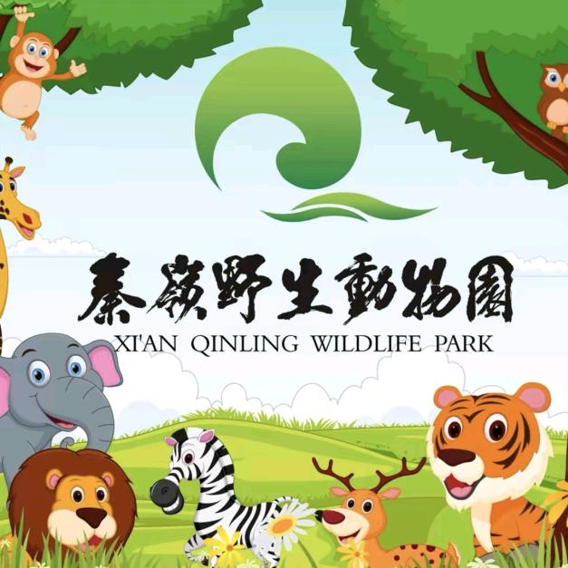 旅行推荐官～妮妮