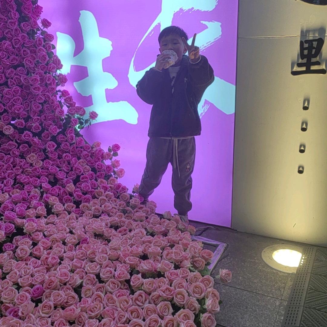 随性随心
