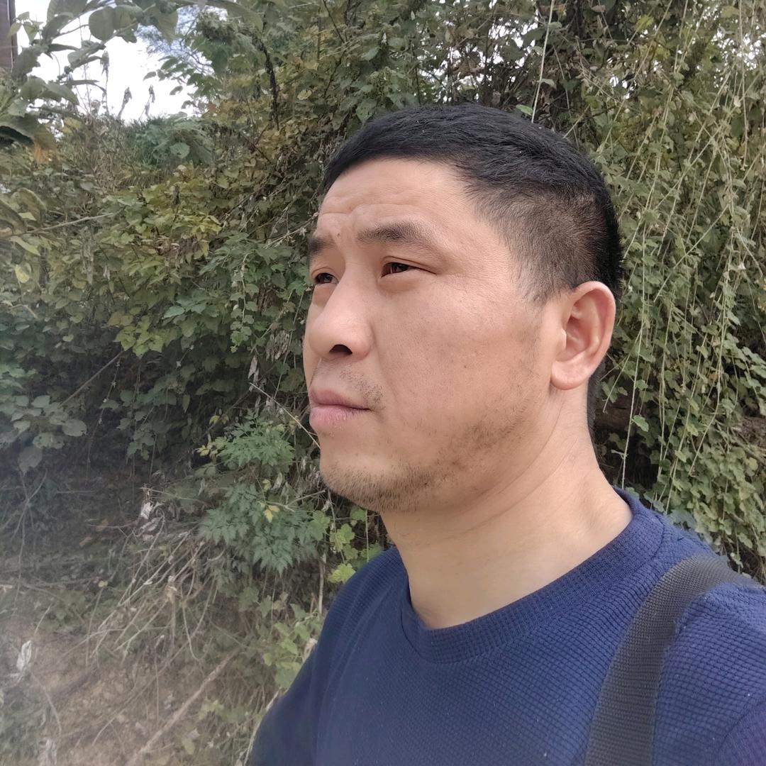 不高不富不帅