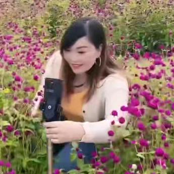 单身幺妹