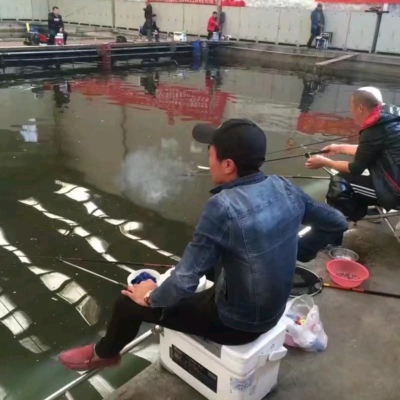 秦先生 .