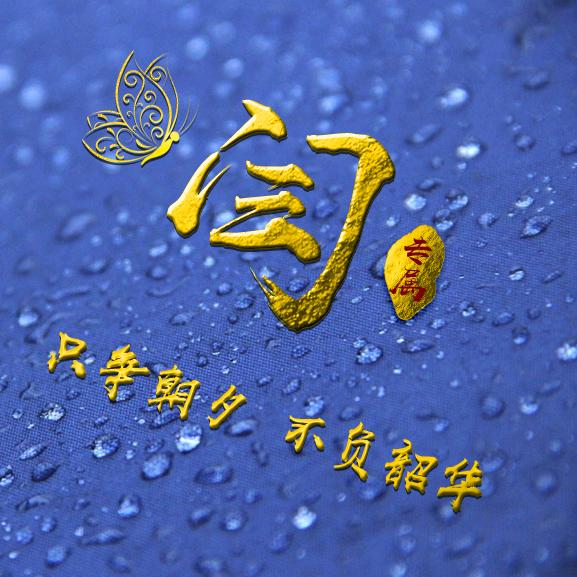 ✨❤️心火🔥✨