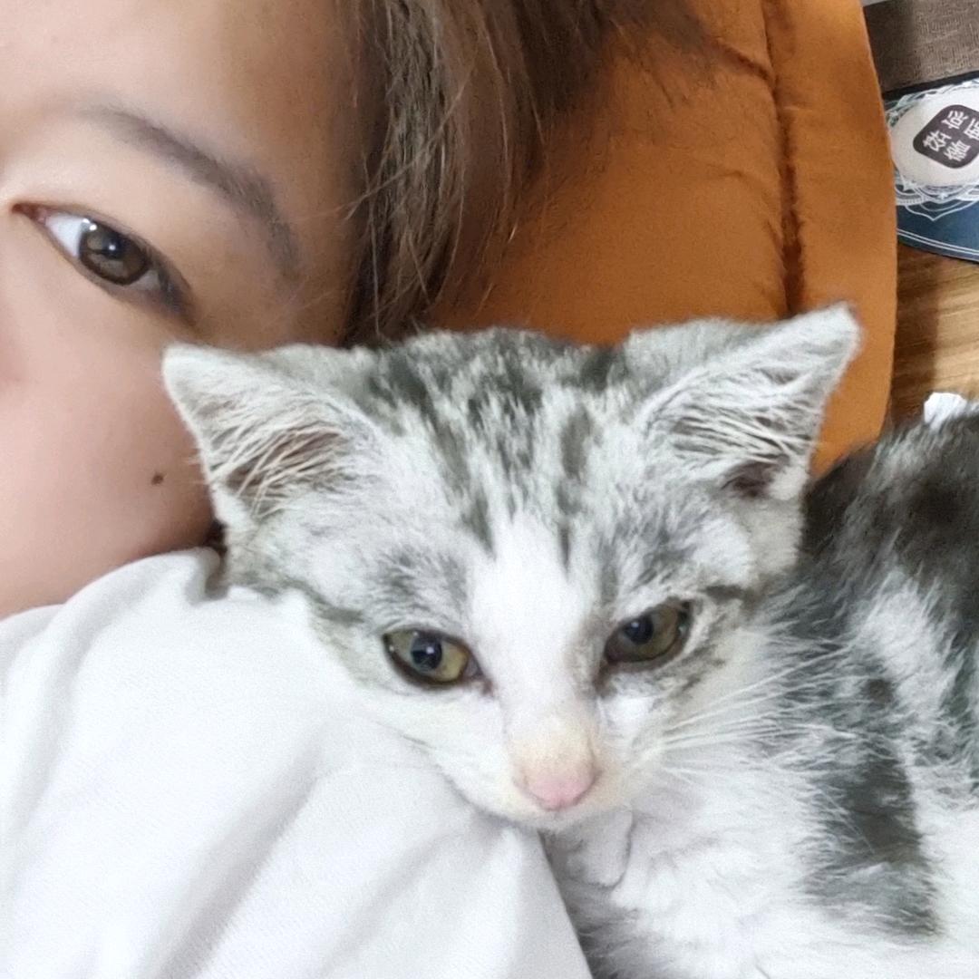 古娜拉趴