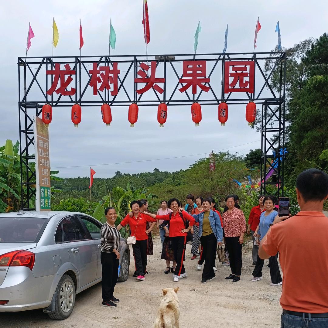 花树坑农场官方号