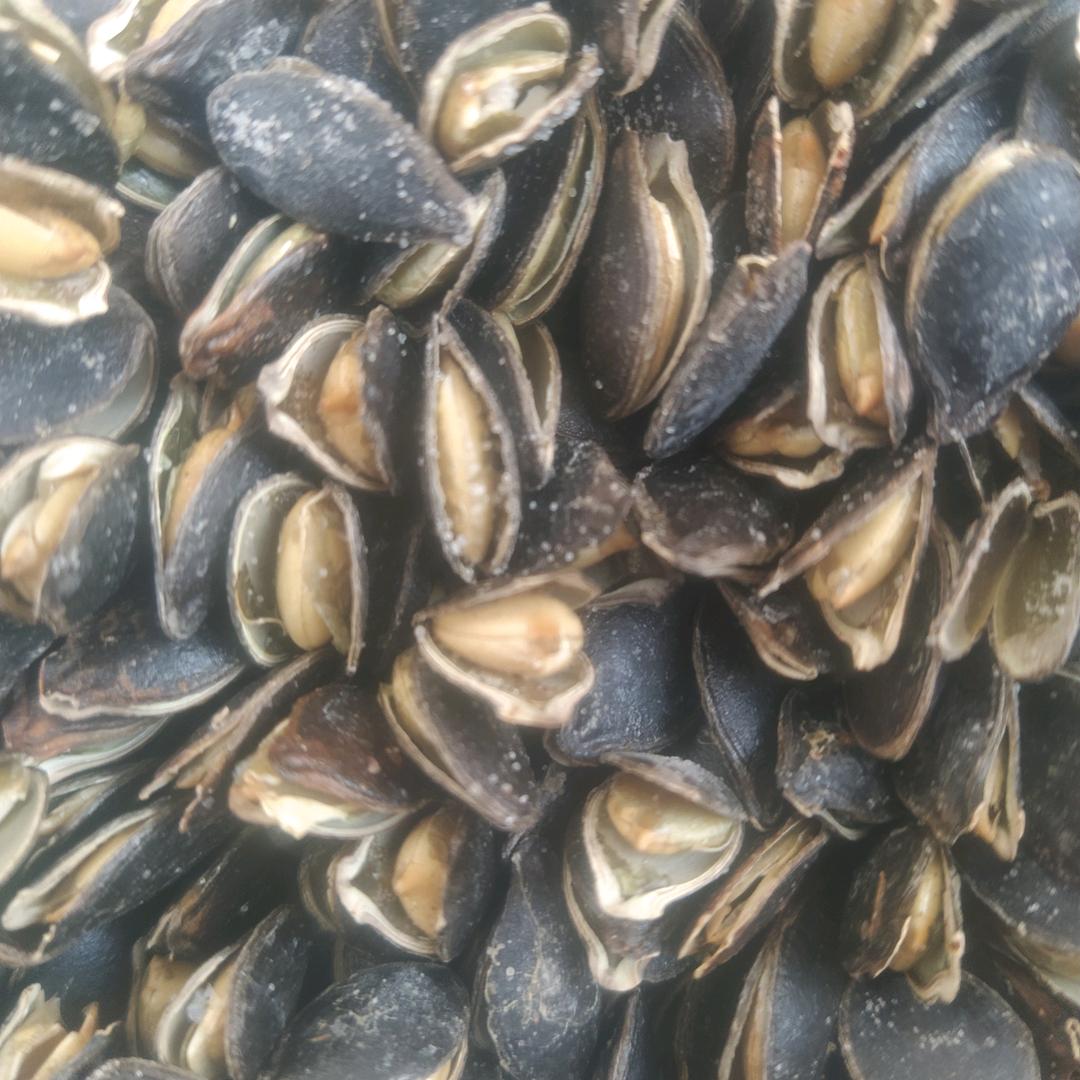 苑记炒货干果店官方号