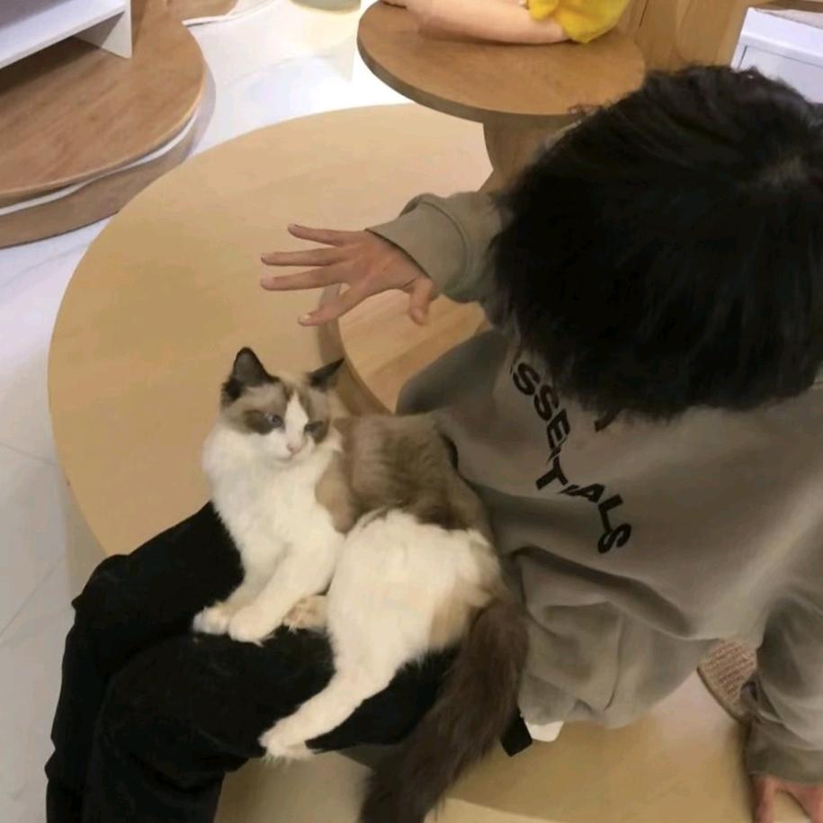炸薯条