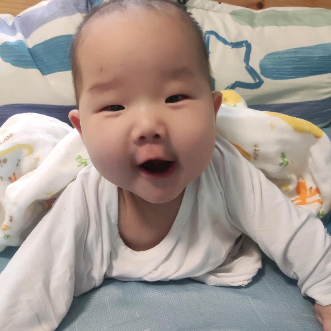 橙橙的小橙子