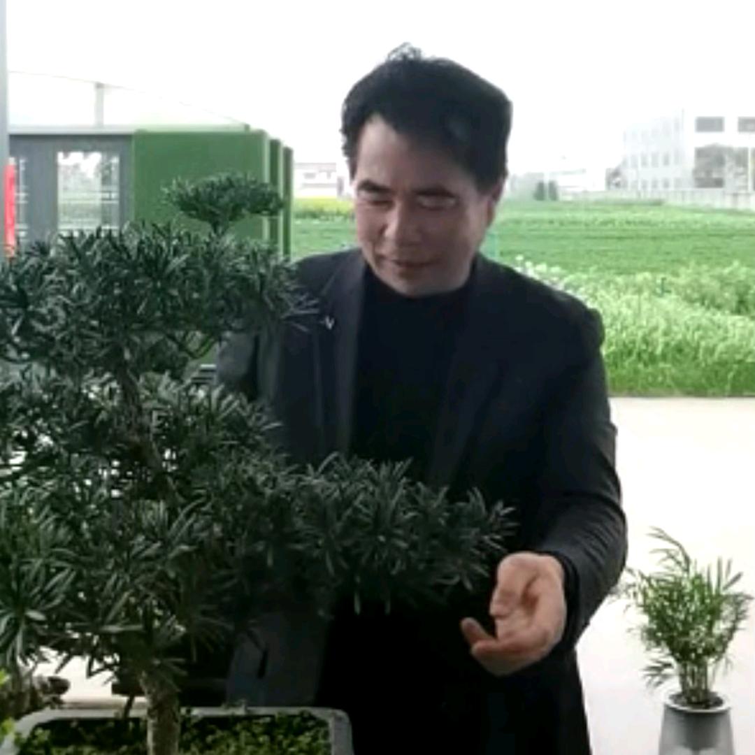 龙行天下！