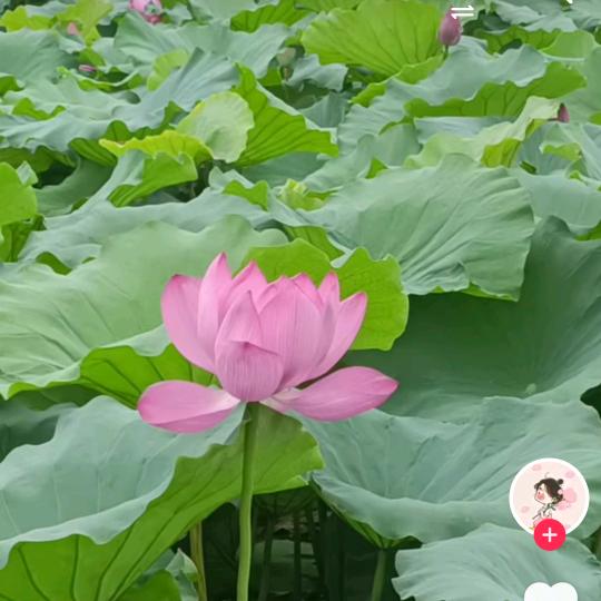 醒醒