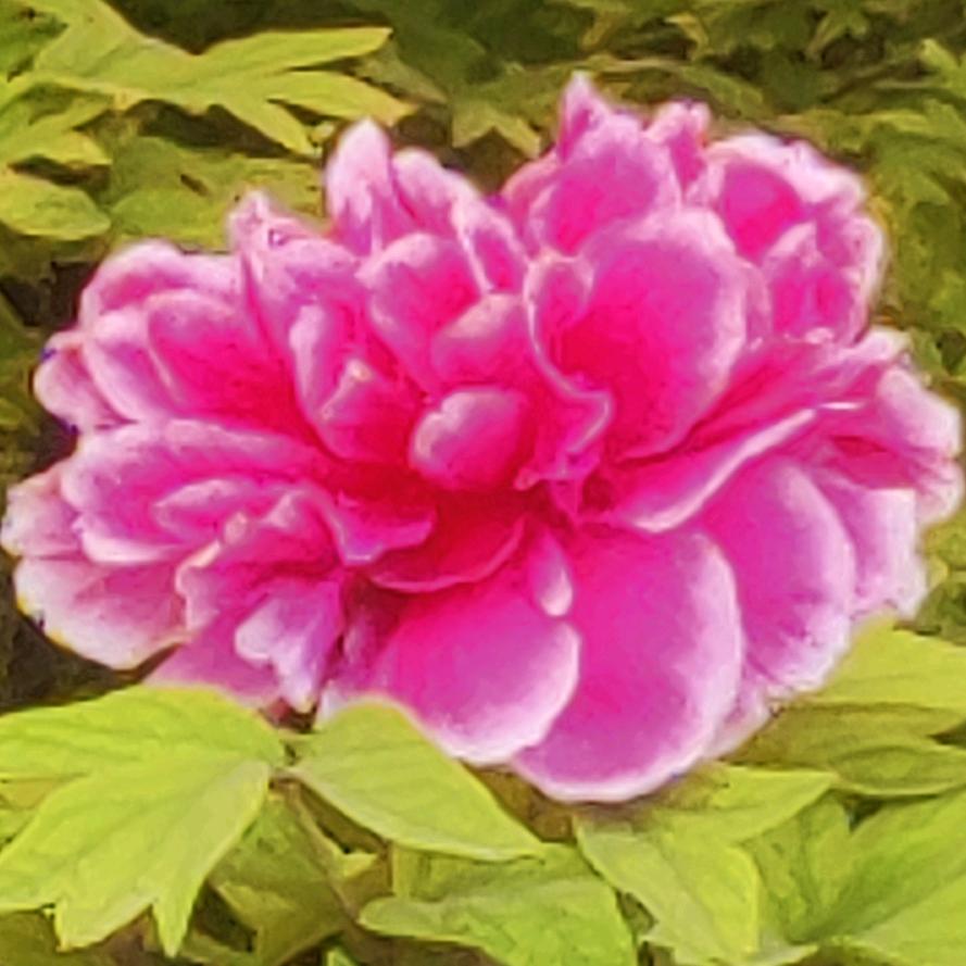 顺风顺水