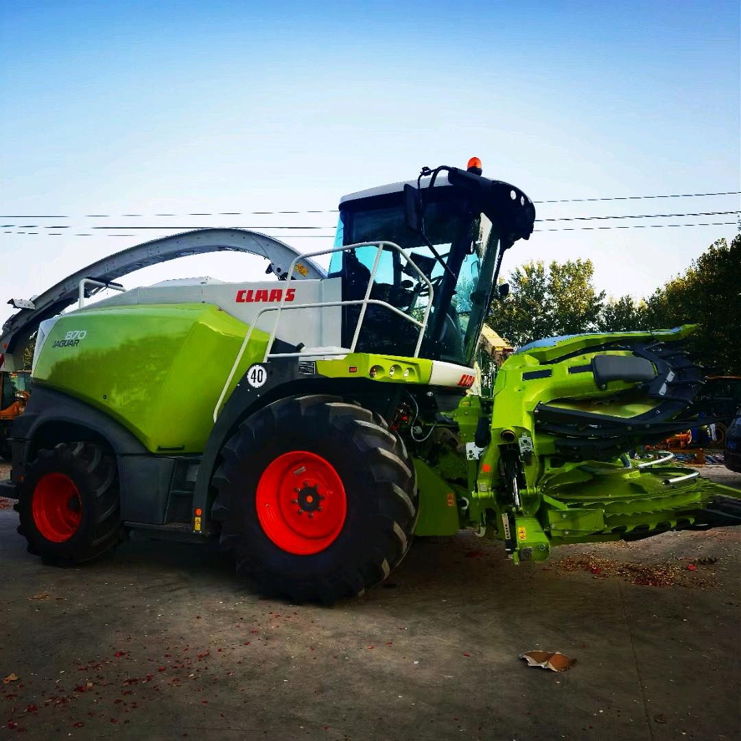 互利种植（一万亩）