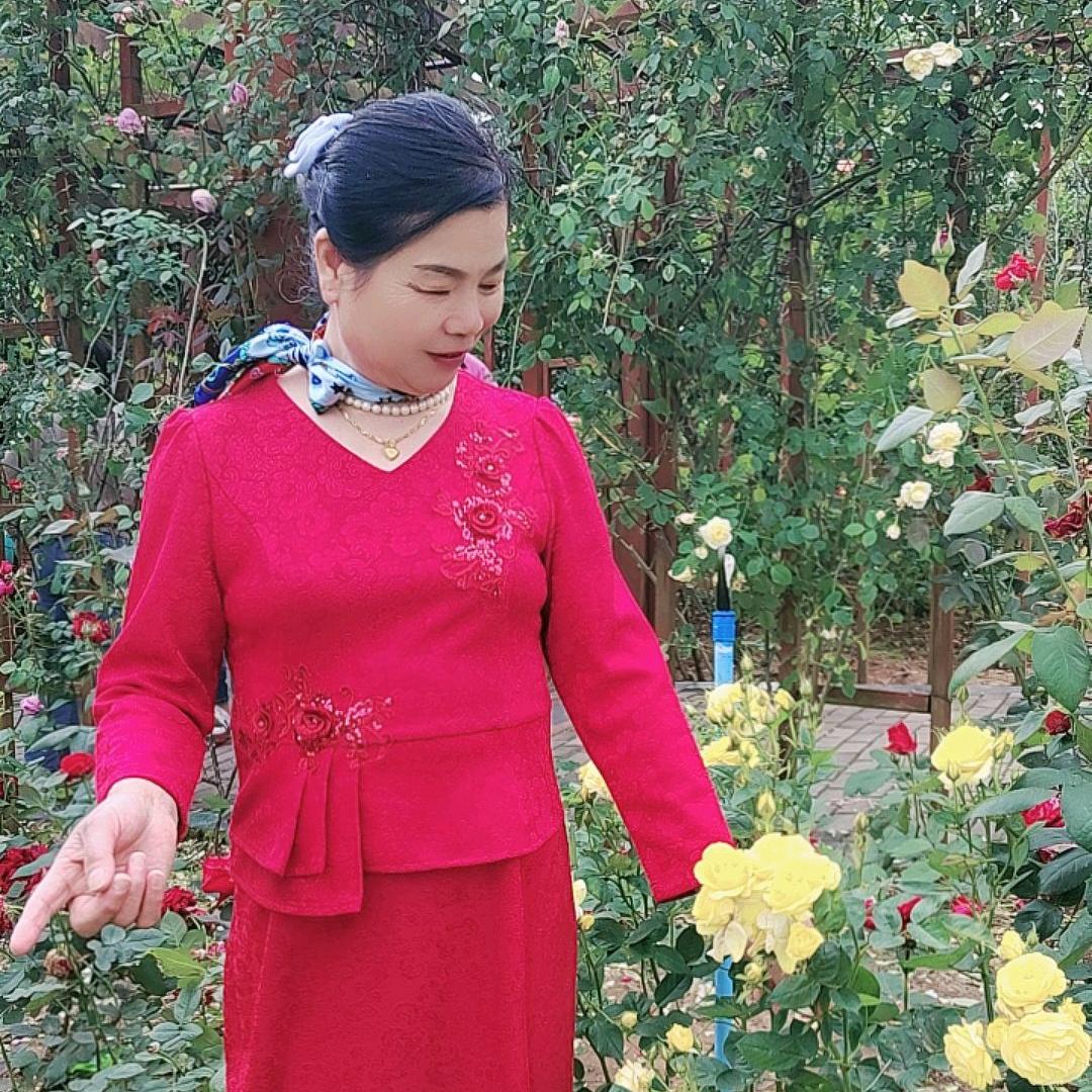 九月菊花