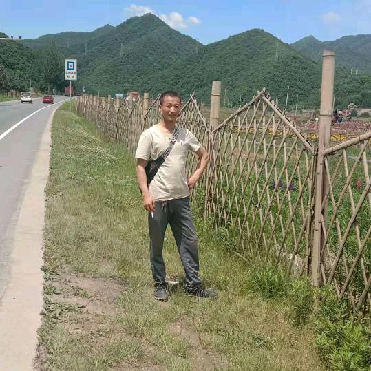 杨二哥贴砖等待有缘人