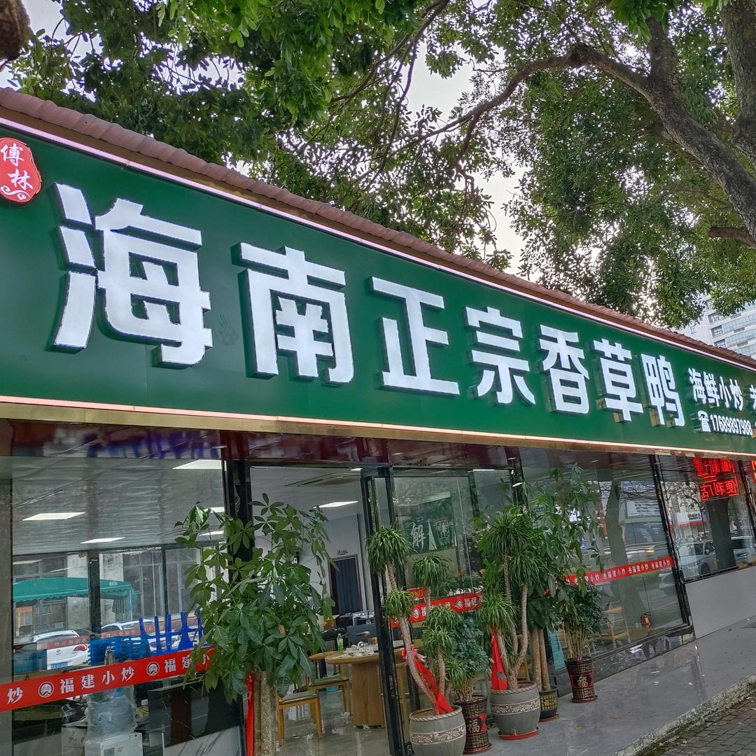 海南正宗香草鸭