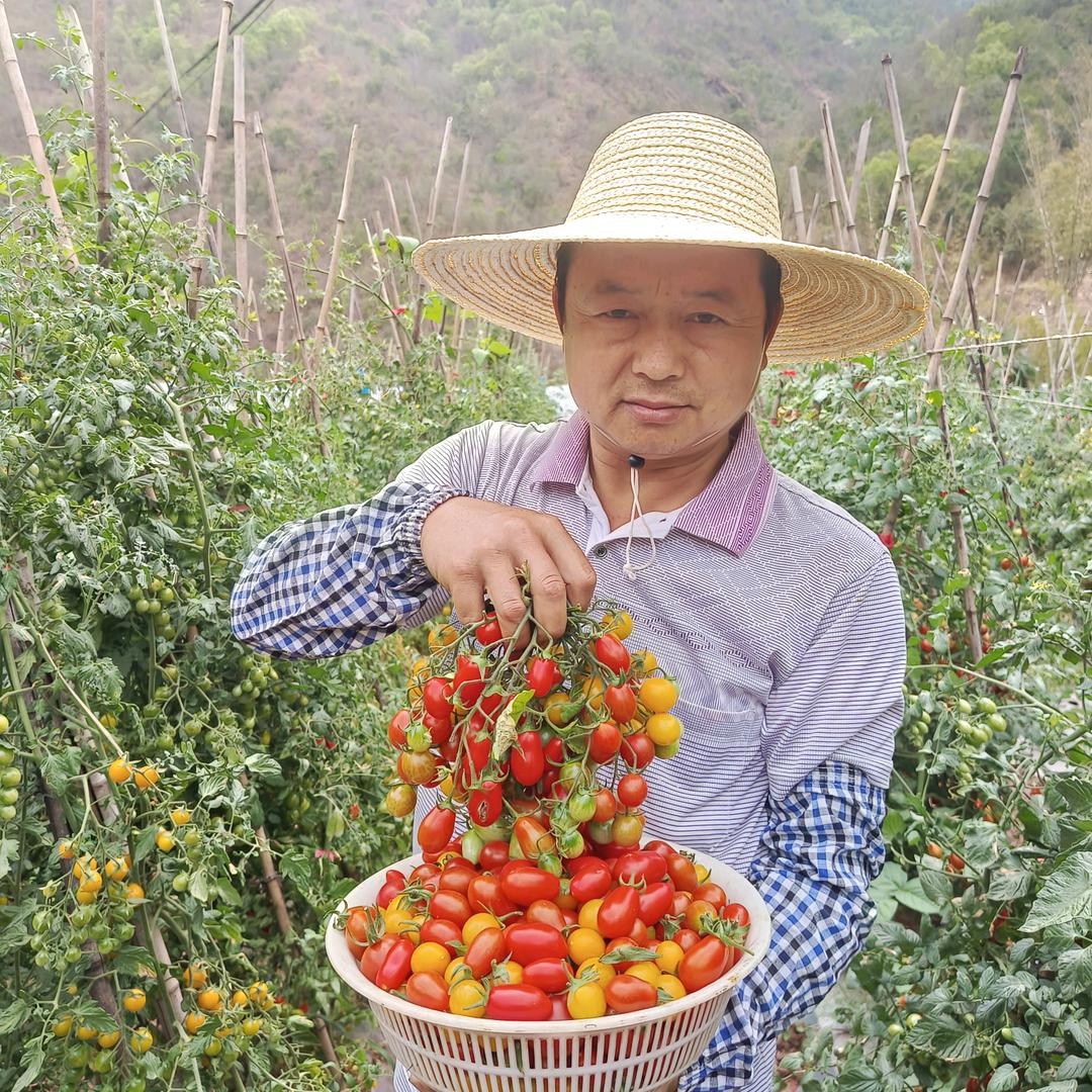 山旮旯一村长