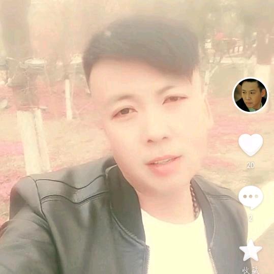风吹杨柳