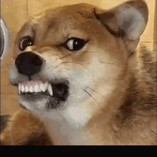 🇨🇳逆风🇨🇳