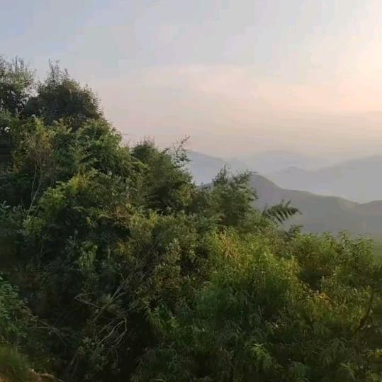 跳跳姥姥