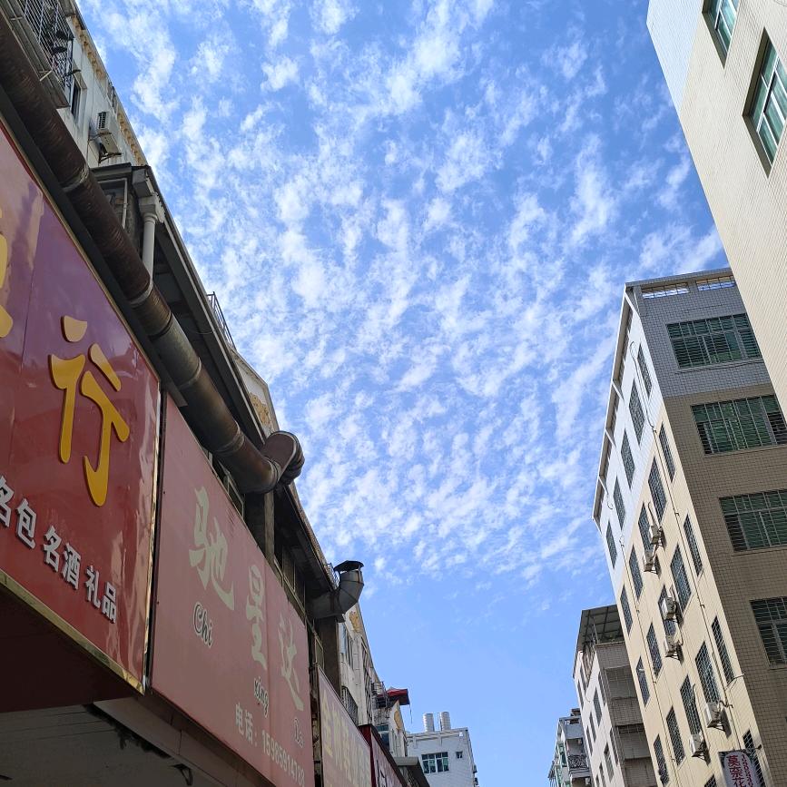 墨香飘逸