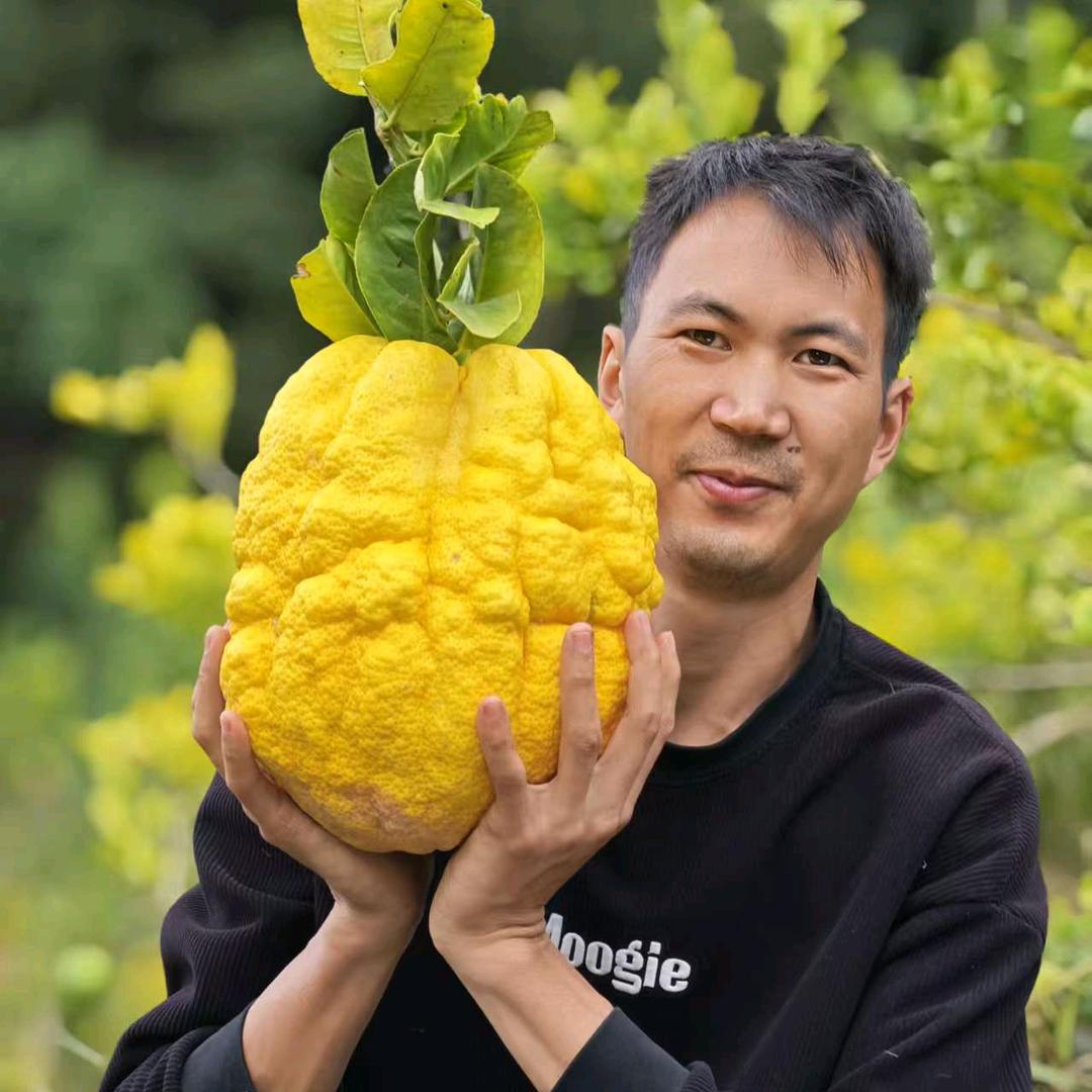 大白（滇西特产）