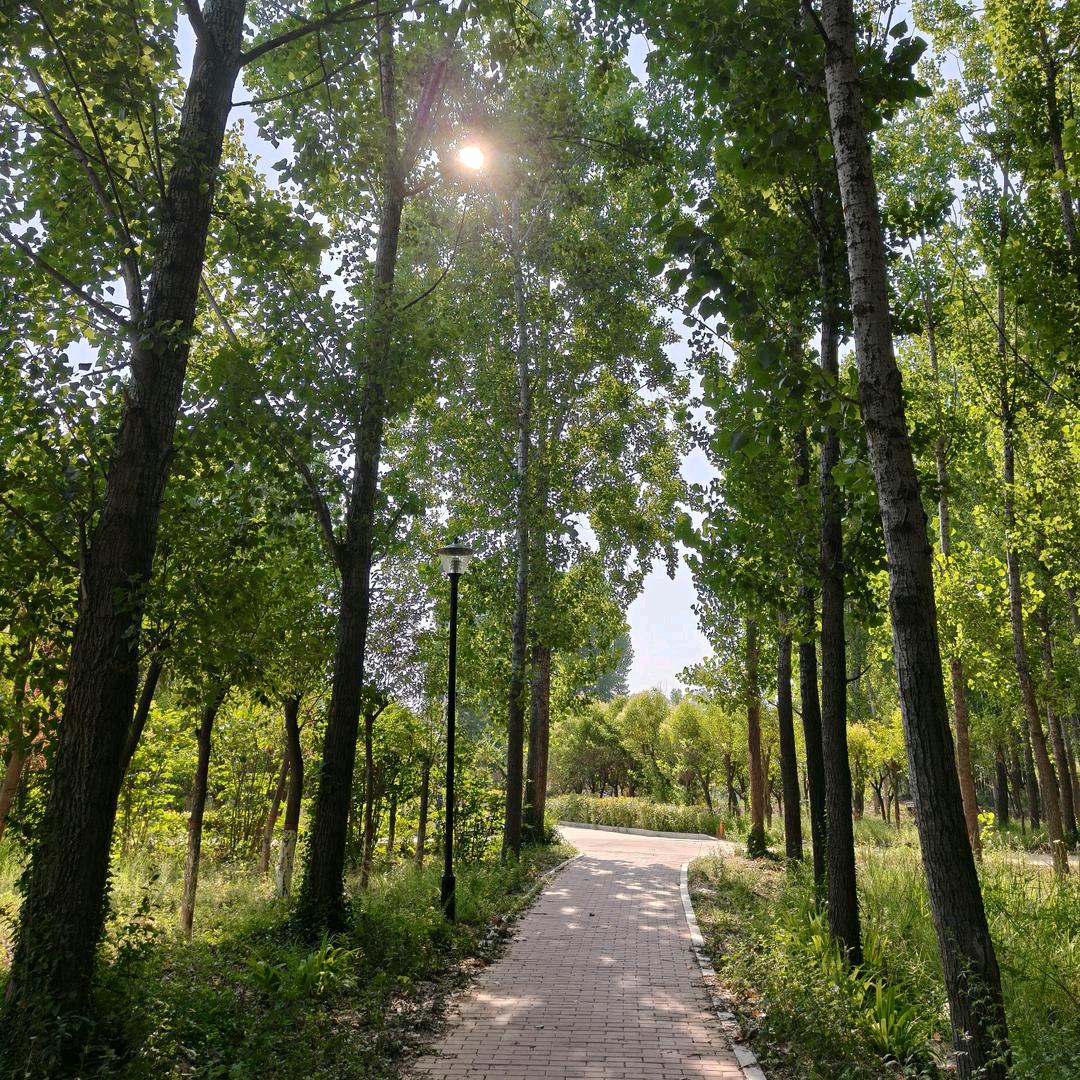 糖糖的家🏡（建房中）