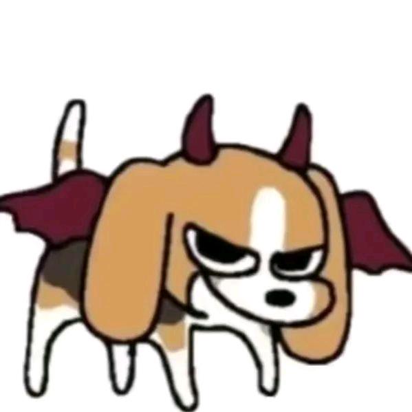 盐蒸橙子