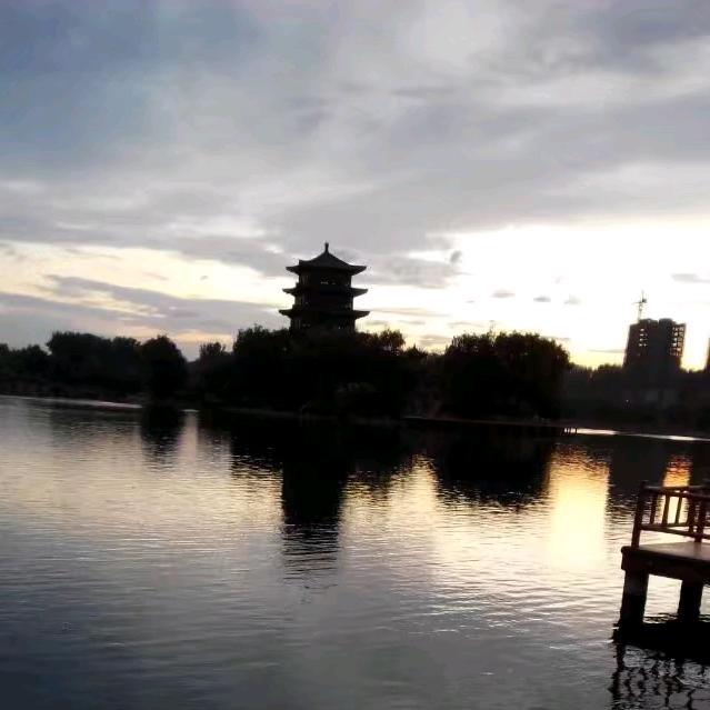 阳阳