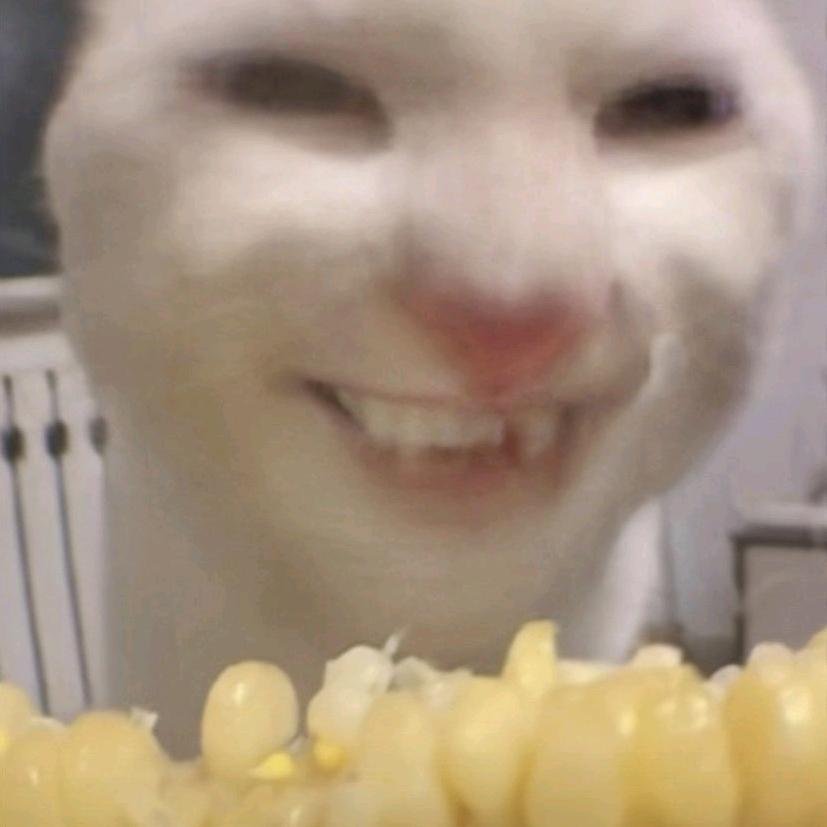 LinQAQ