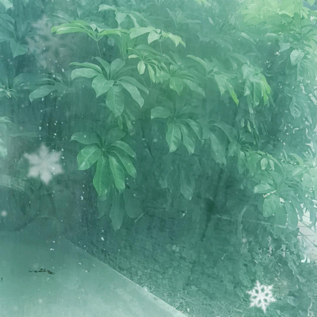 昨天的夜里