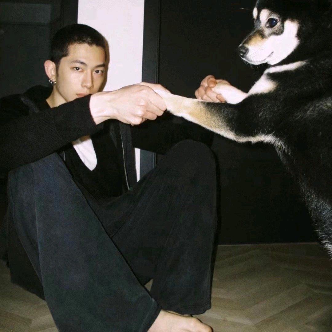 爱跟死亡一样强大