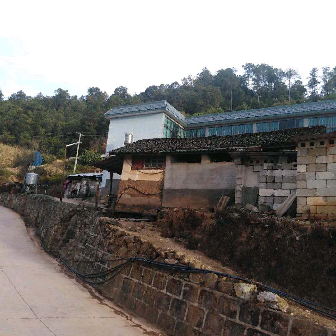 顺发三哥，