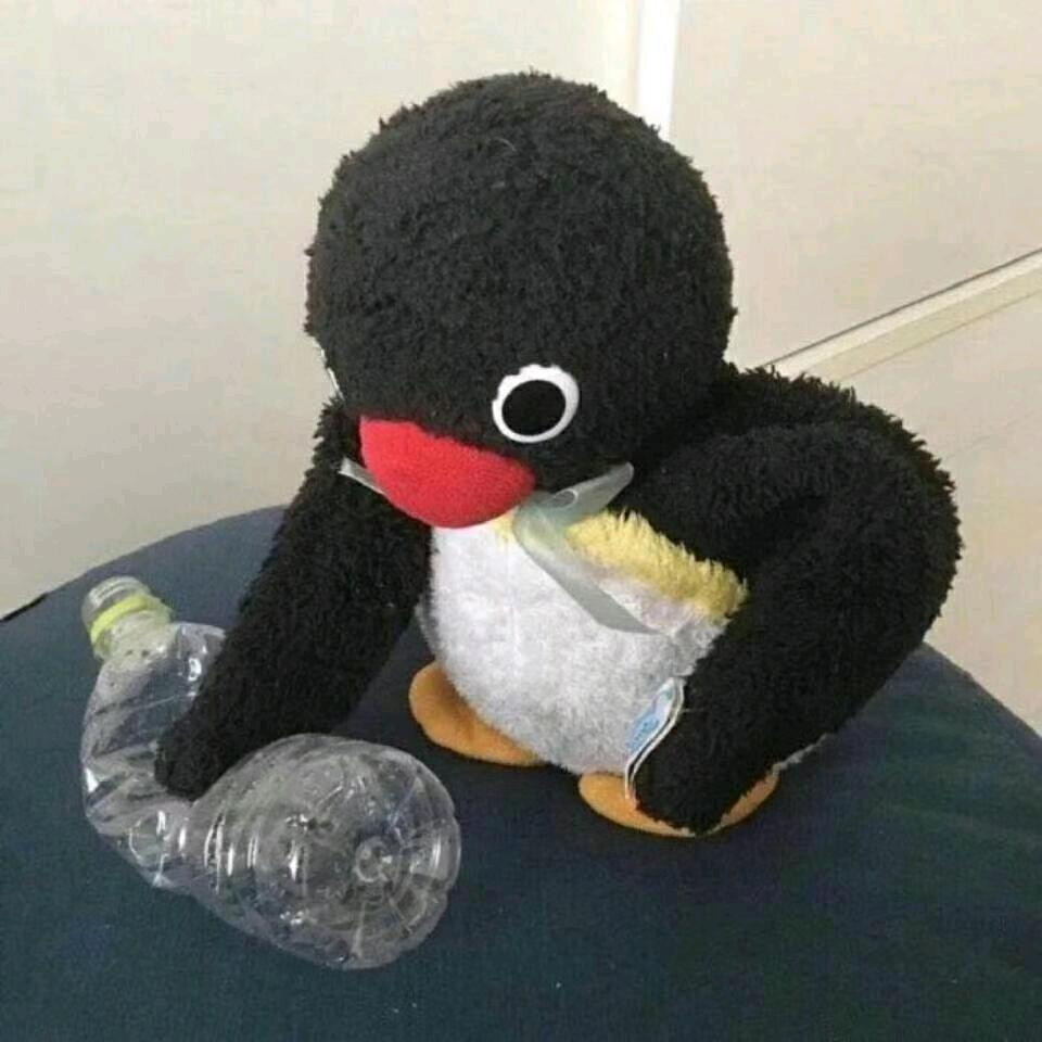 兔纸.