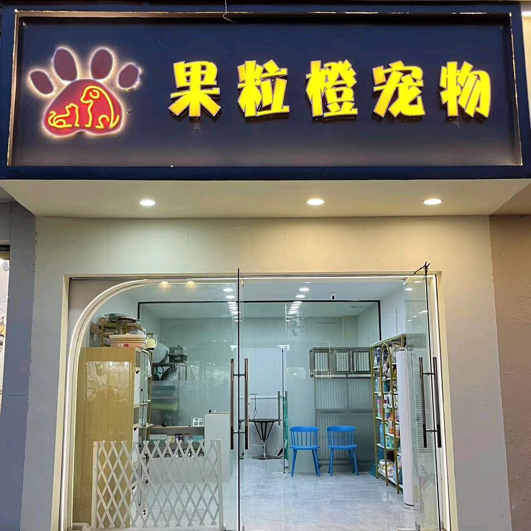 果粒橙宠物