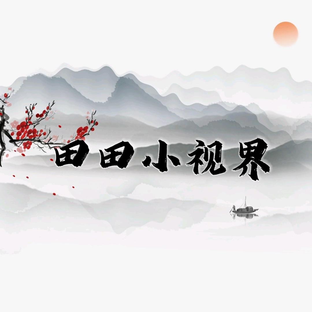 田田小视界