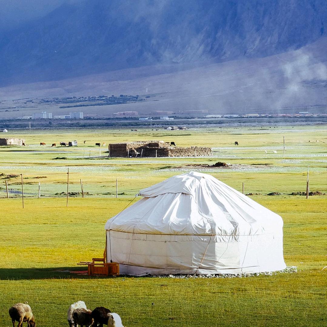 满山的猴子，我的腚最红