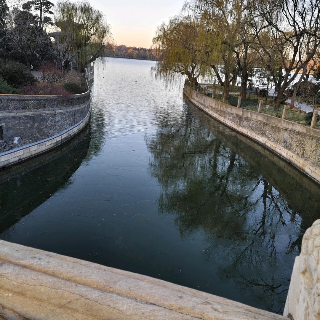 王老师的数学直播课