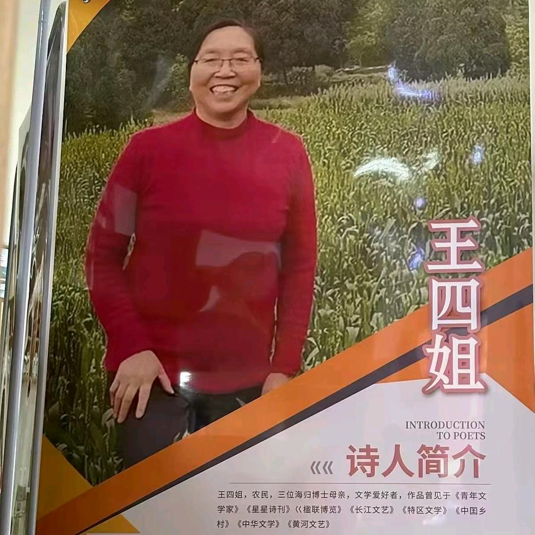 王四姐，（厨窗新年货物和专治各种小疼小